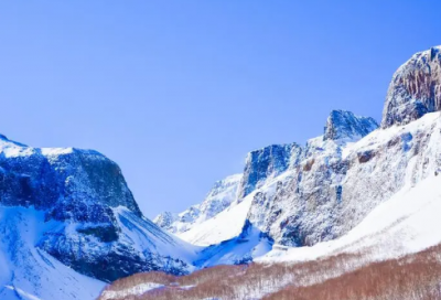 ​春游作文200字