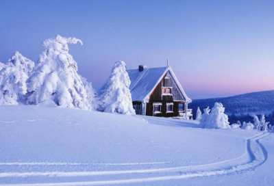 ​开学新打算日记