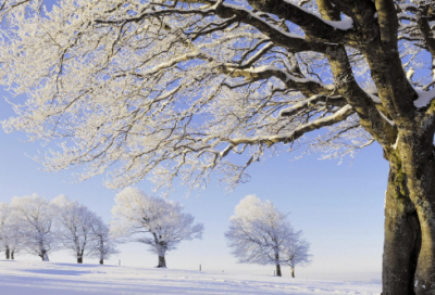 ​高尚的作文400字4篇