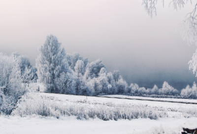 ​李绅悯农其二赏析(悯农的译文及注释）