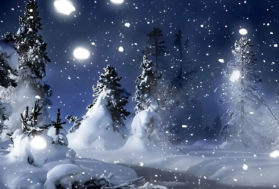 ​卜算子咏梅赏析（卜算子咏梅译文和注释）