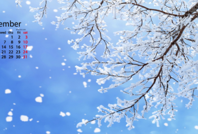 ​关于树叶的作文