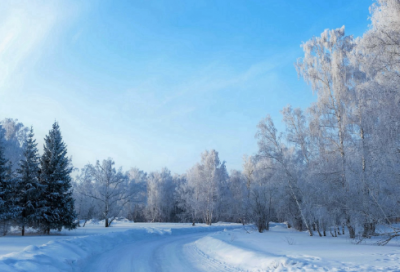 ​给力青春作文参考