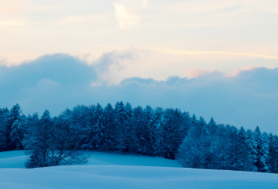 ​委屈的一件事作文四篇