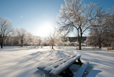 ​精选国庆节写作文4篇