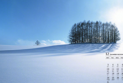 ​小妮子日记5篇