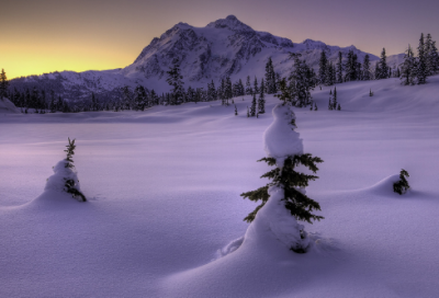 ​学校的大扫除作文