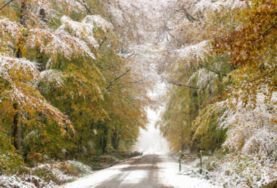 ​关于描写事的作文3篇