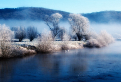 ​家的作文400字4篇