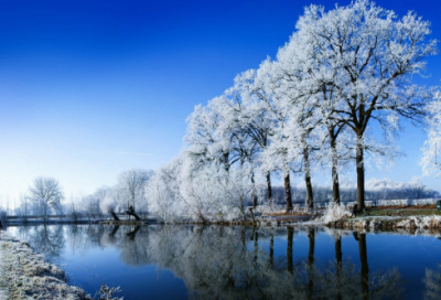 ​陶渊明杂诗赏析（杂诗陶渊明译文及注释）