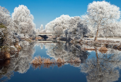 ​600字作文大全