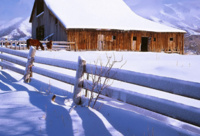 ​扫墓作文400字4篇