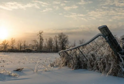 ​有关成长的作文300字4篇