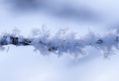 ​小窗幽记全文及译文赏析（小窗幽记集素篇全文及译文）