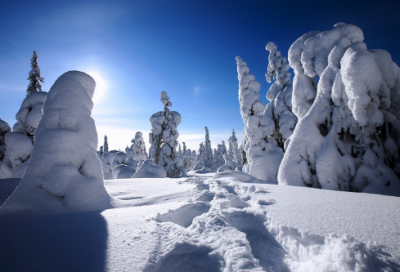 ​优秀的英语作文：RichMan