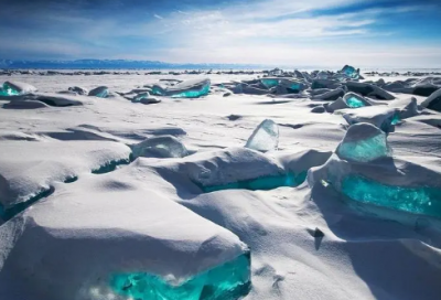 ​窗台上的风景作文