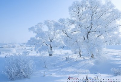 ​国宝大熊猫作文300字4篇