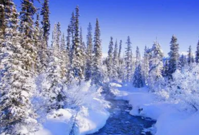 ​雾霾来了作文