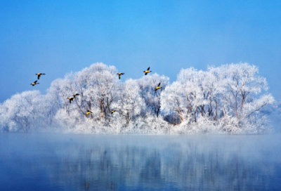 ​赠花卿写作背景（赠花卿译文及注释）