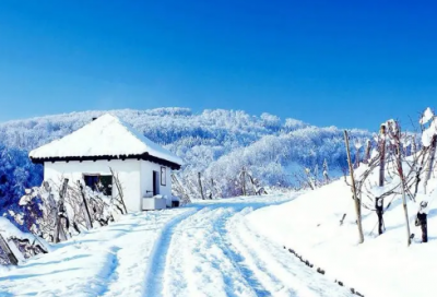 ​情人节作文3篇