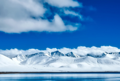 ​【推荐】狼的作文300字四篇