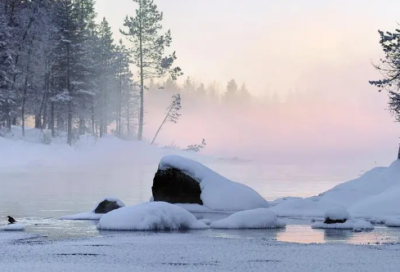 ​描写春天景物作文范文