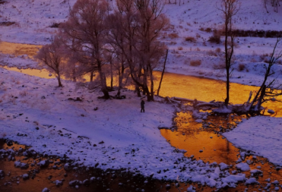 ​英语100字日记8篇