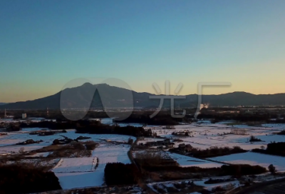 ​写关于大熊猫的作文300字4篇