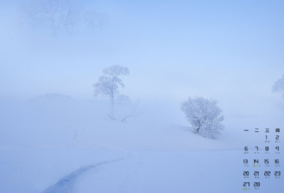 ​高考英语作文万能句子