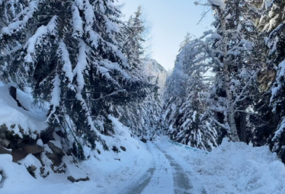 ​沈复的浮生六记（浮生六记原文及译文）