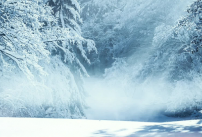 ​小学四年级下册数学教学计划