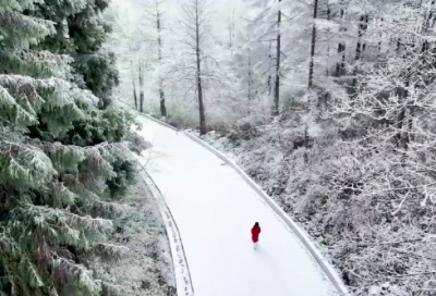 ​论佛骨表原文和译文（韩愈谏迎佛骨的译文）