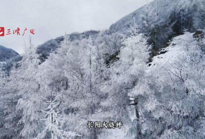 ​过中秋节的作文400字