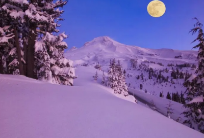 ​关于文学的作文2篇