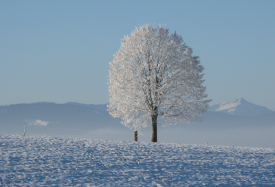 ​英语日记50字6篇