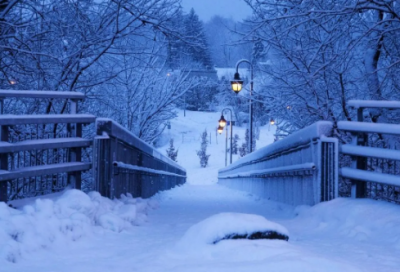 ​精选有趣的发现作文3篇