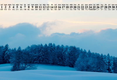 ​生活中的传统文化作文四篇