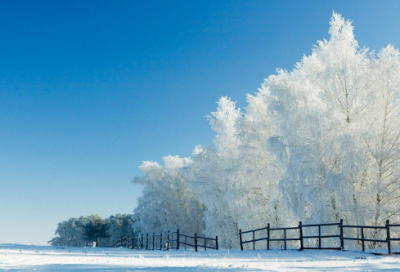 ​让梦想照进现实作文