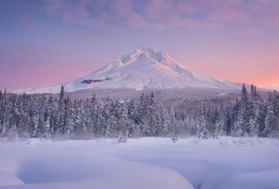 ​金铜仙人辞汉歌译文（金铜仙人辞汉歌全诗赏析）