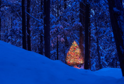 ​望蓟门祖咏（望蓟门注释译文赏析）