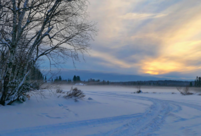 ​白居易问刘十九赏析（问刘十九注释及译文）