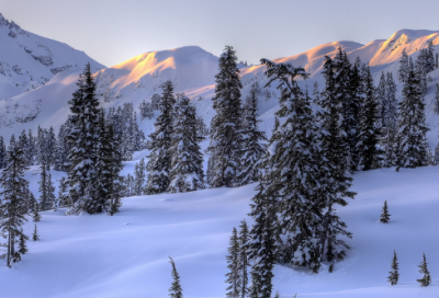 ​初中作文教案