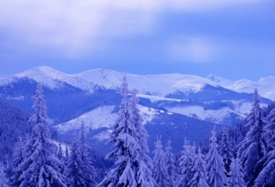 ​鲁滨逊漂流记读后感400字作文