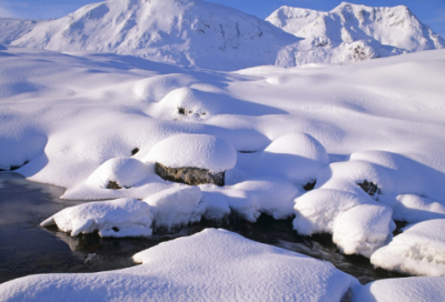 ​中秋节作文优美开头