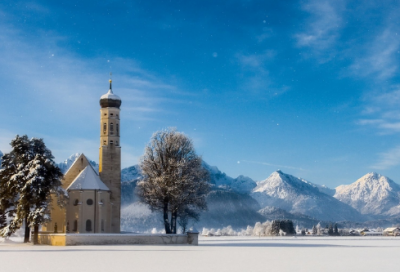 ​桃花的作文（精选3篇）