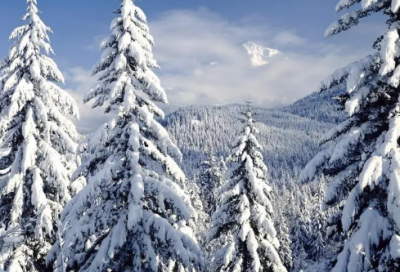 ​一件小事随笔作文