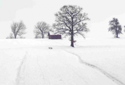 ​兰亭序原文内容是什么（王羲之兰亭序原文和译文）