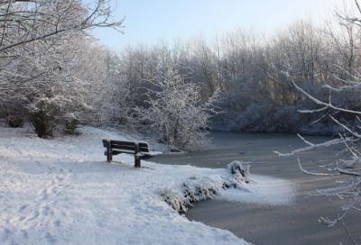 ​关于环保的英语作文五篇