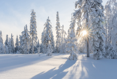 ​夜航船免费阅读全文（夜航船全书译文）