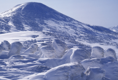 ​2016年广东高考满分作文